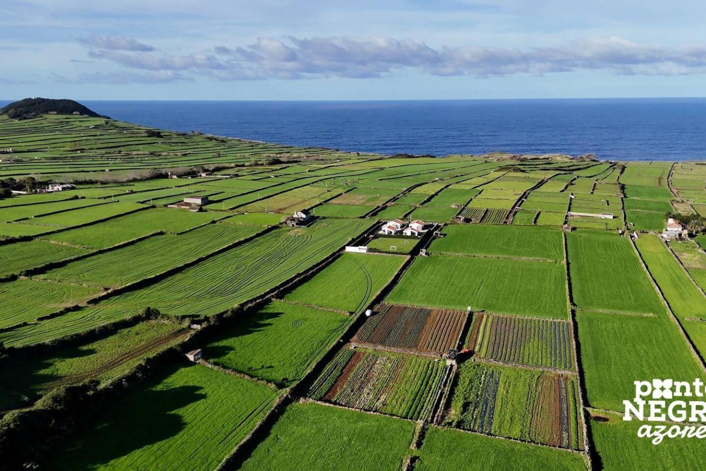 Wine House By Ponta Negra Azores Altares Экстерьер фото